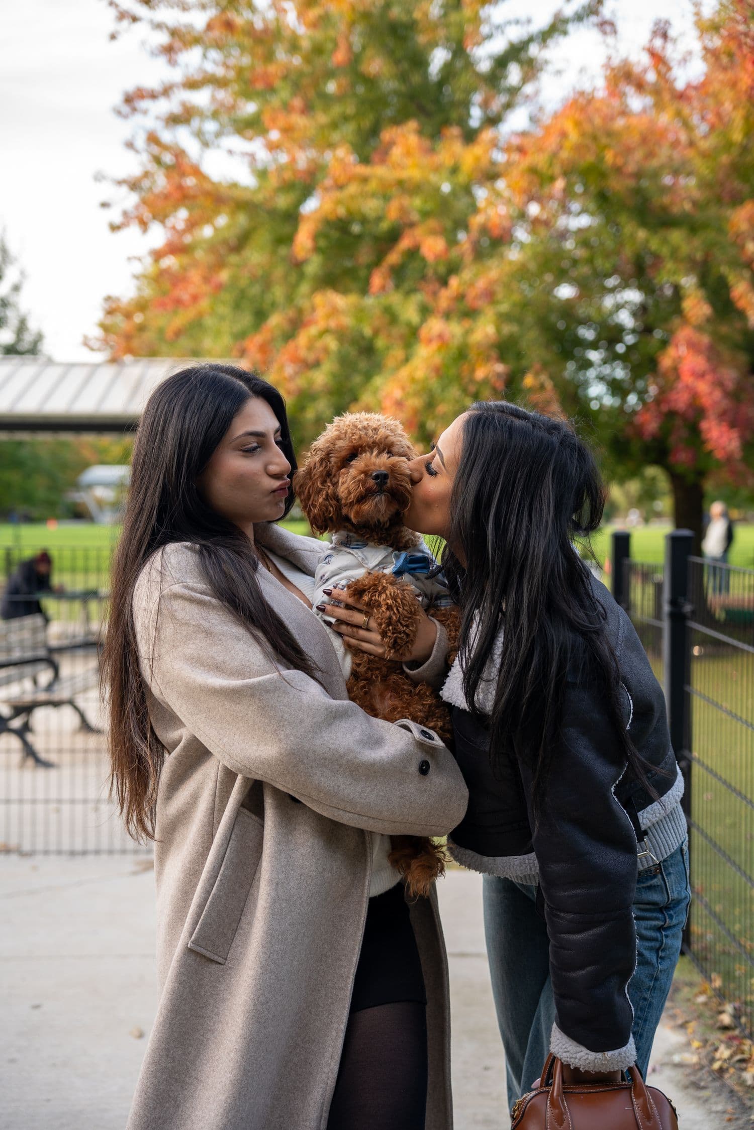 Two people kissing a small dog in an autumn park.
