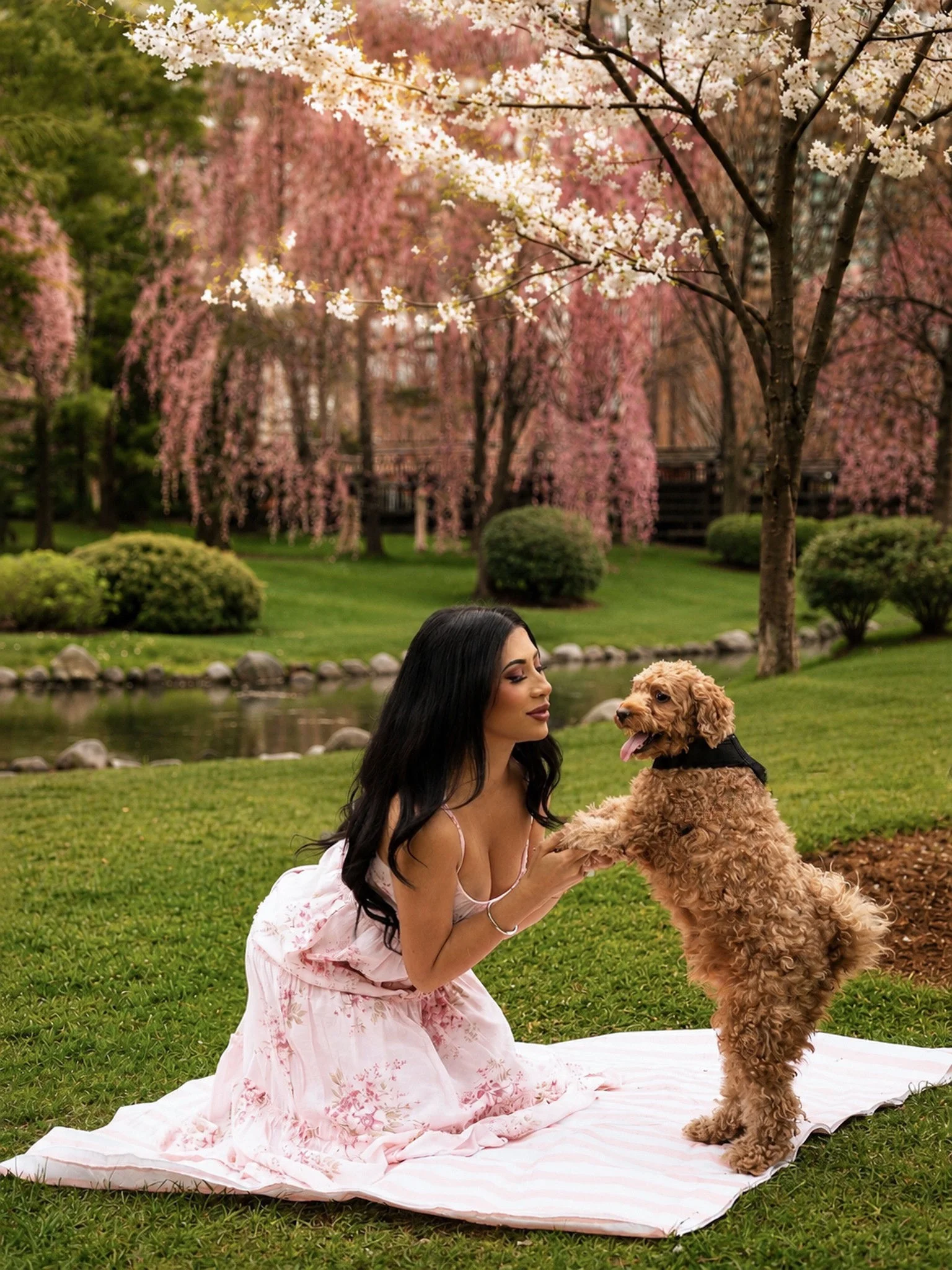 A woman in a pink floral dress with her dog under weeping cherry blossom trees by a pond.
