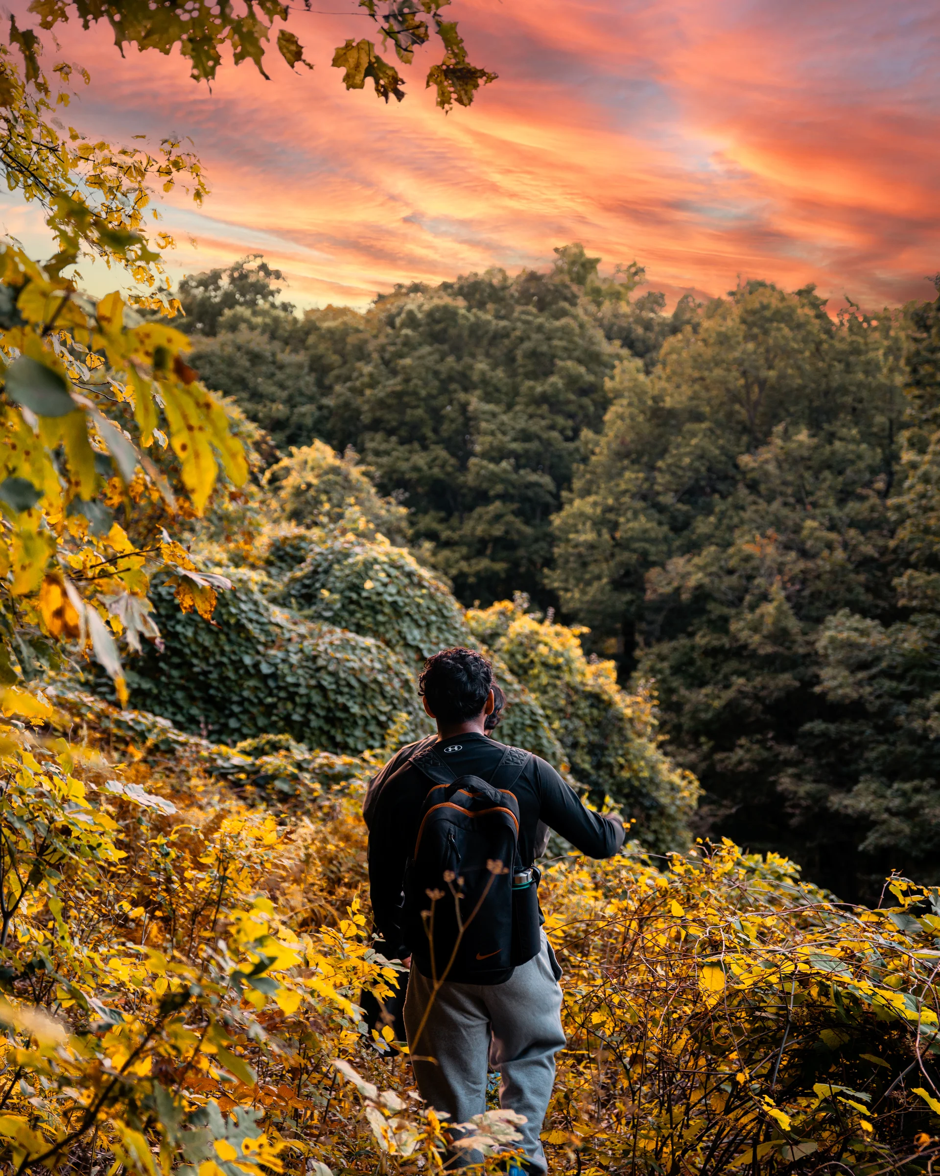 A person hiking through fall foliage under a dramatic orange and pink sunset sky.