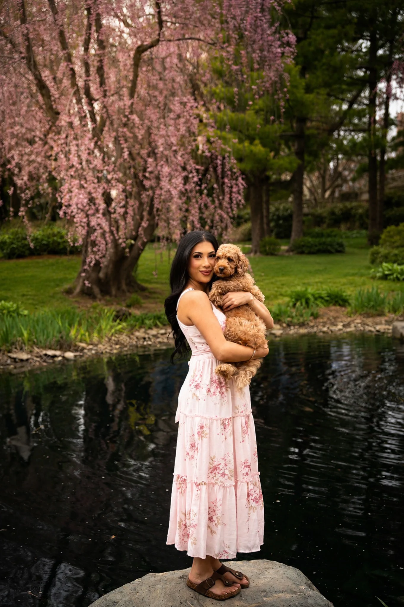 A woman in a floral dress holding her dog beside a reflecting pond under cherry blossoms.