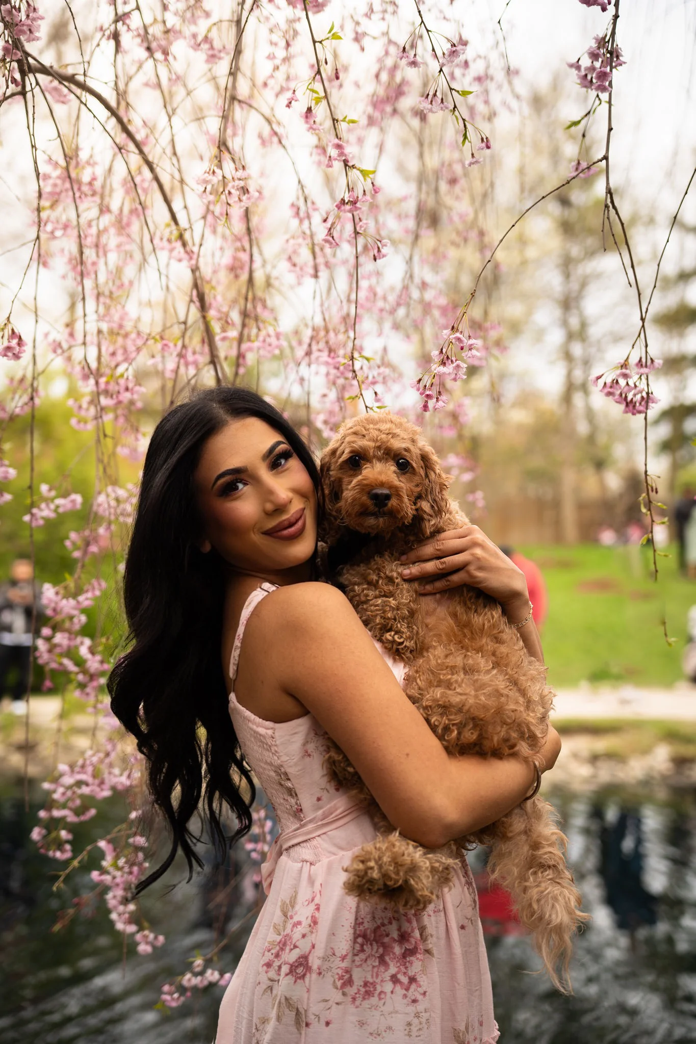 A woman in a pink floral dress holding her small apricot dog beneath cherry blossom branches.