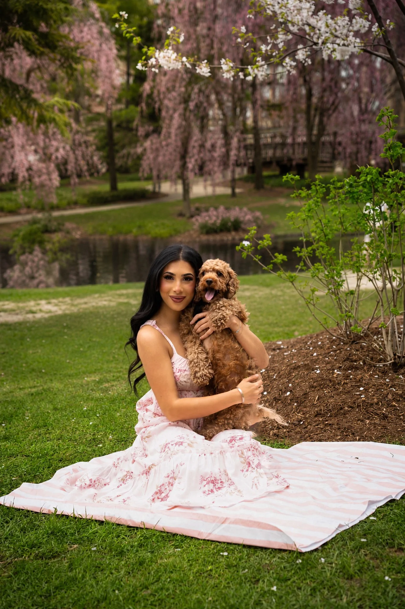 A woman in a floral dress seated on a lawn with her dress fanned out, holding her dog beneath a weeping cherry tree.