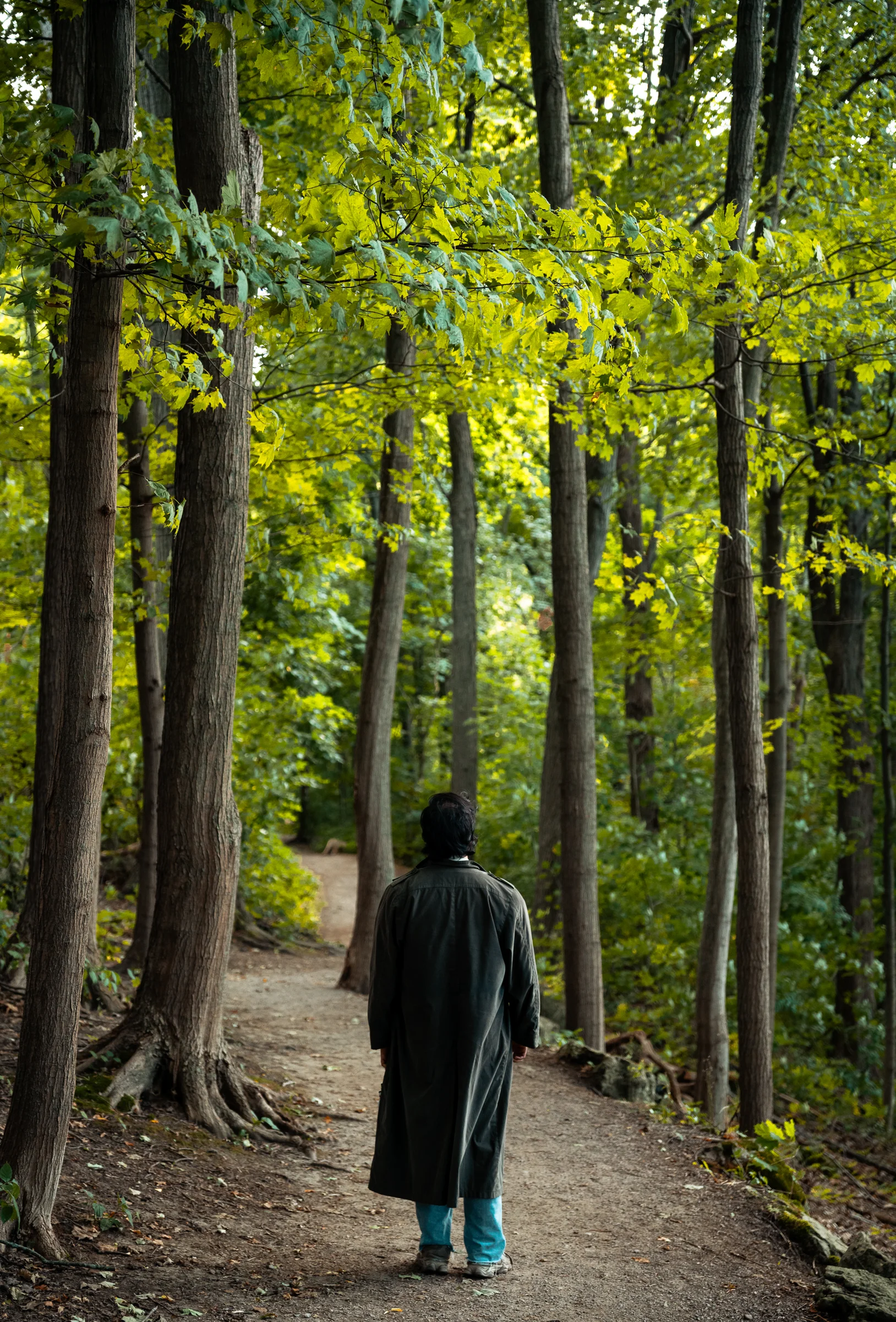 A person walking alone down a sunlit path through tall green trees.